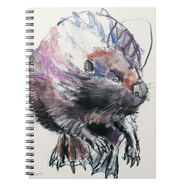 Carnet Castor 2001 (Devant)