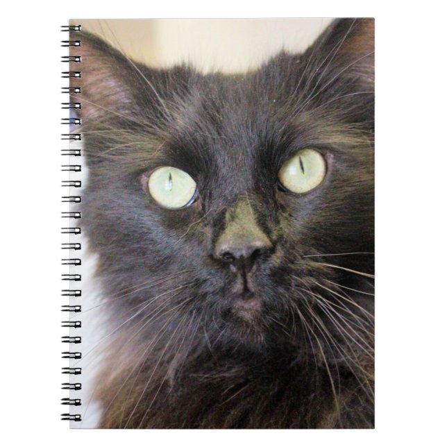 Carnet Cat (Devant)