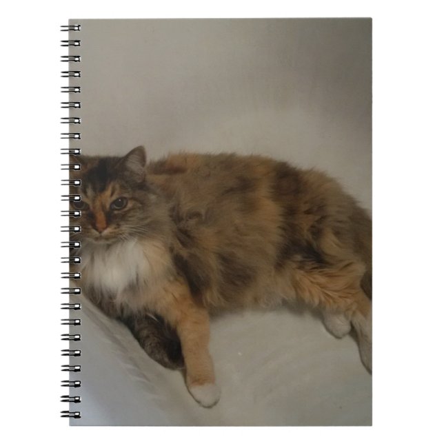 Carnet Cat (Devant)