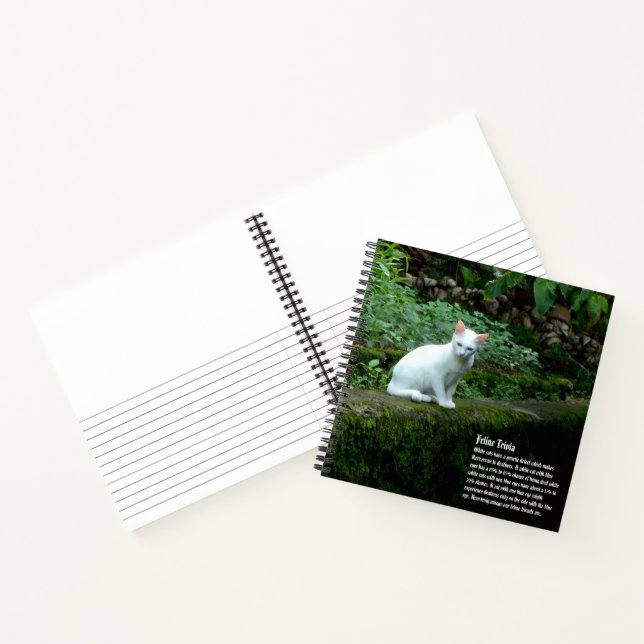 Carnet Cat blanc (Intérieur)