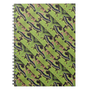 Carnet Catalpa Worms la pêche de poisson-chat de Camo