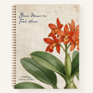 Carnet Cathy Cernua Orchidée Florale Botanique Vintage