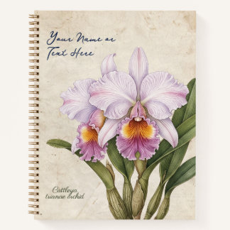 Carnet Cattleya Trianae Orchidée Botanique Vintage Person