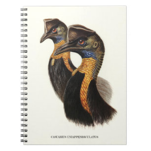 Carnet Causses nordiques, oiseaux Vintages