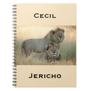 Carnet Cecil & Jericho Frères Lions d'Afrique