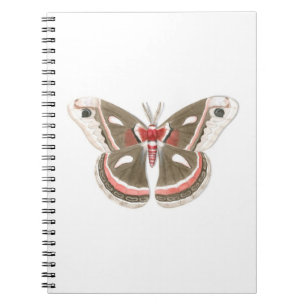 Carnet Cecropia Moth