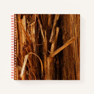 Carnet Cèdre texturé en écorce de bois