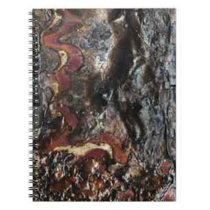 Carnet Cendres