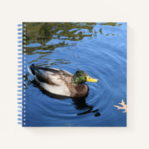 Carnet Central Park NYC Conservatoire Eau Mallard Canard