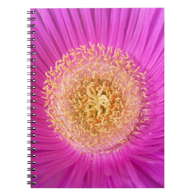 Carnet Centre à fleurs roses (Devant)