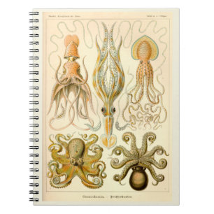 Carnet Céphalopod poulpe Mer de calmar