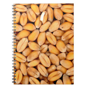 Carnet céréales de blé