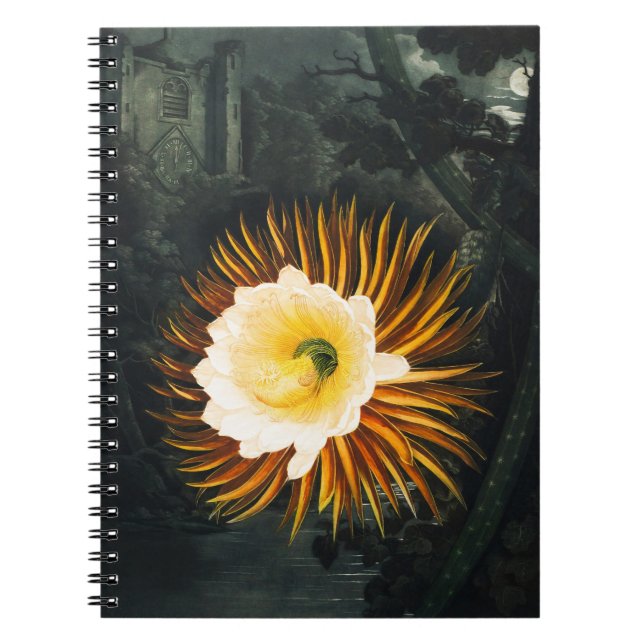 Carnet Céréus de Nuit Antique Art Gothique (Devant)