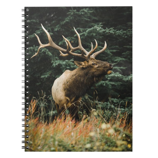 Carnet CERF Brown EN VERT PENDANT LA JOURNÉE (Devant)