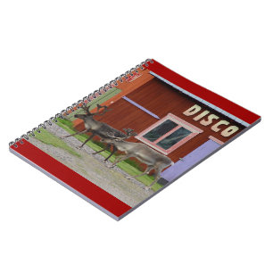 CARNET CERFS COMMUNS DE DISCO
