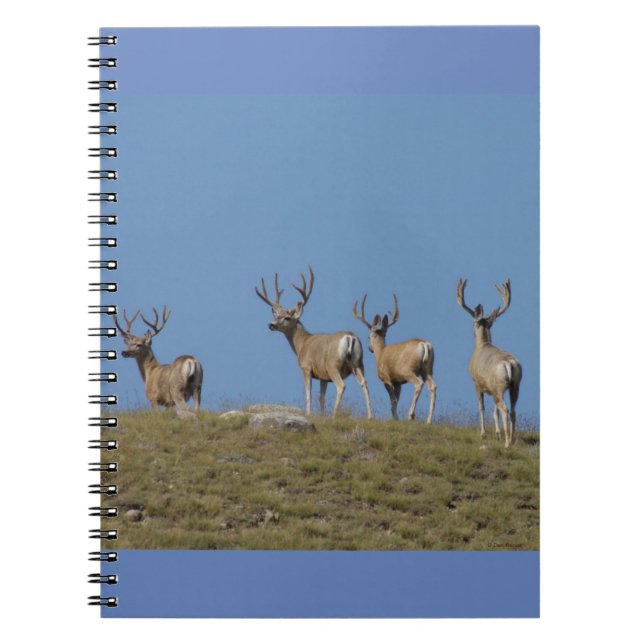 Carnet Cerfs mulet D9 en velours sur fond de ciel (Devant)