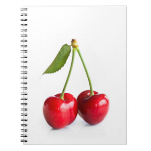 Carnet Cerise douce