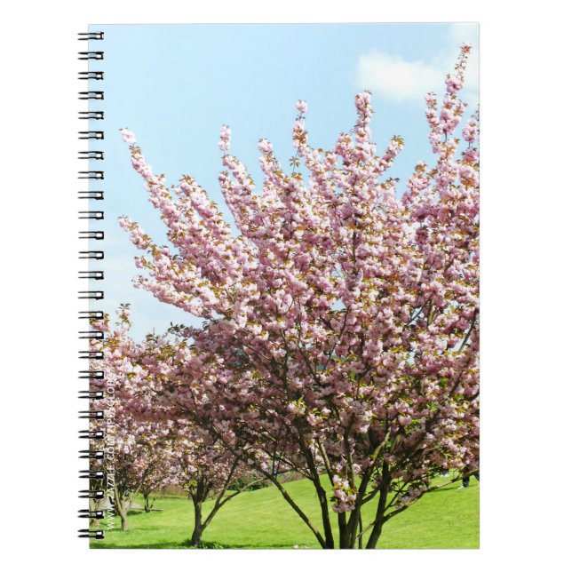 Carnet Cerisier en fleurs (Devant)