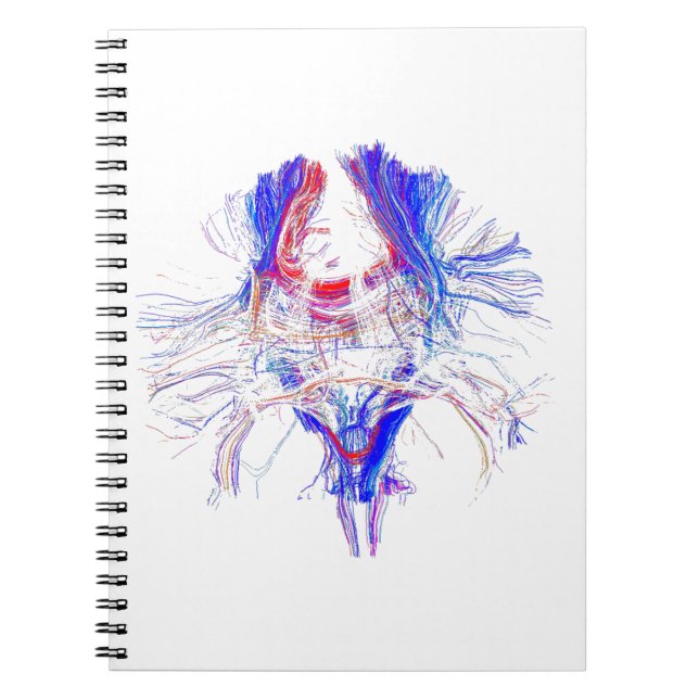 Carnet Cerveau et Tracktography (Devant)