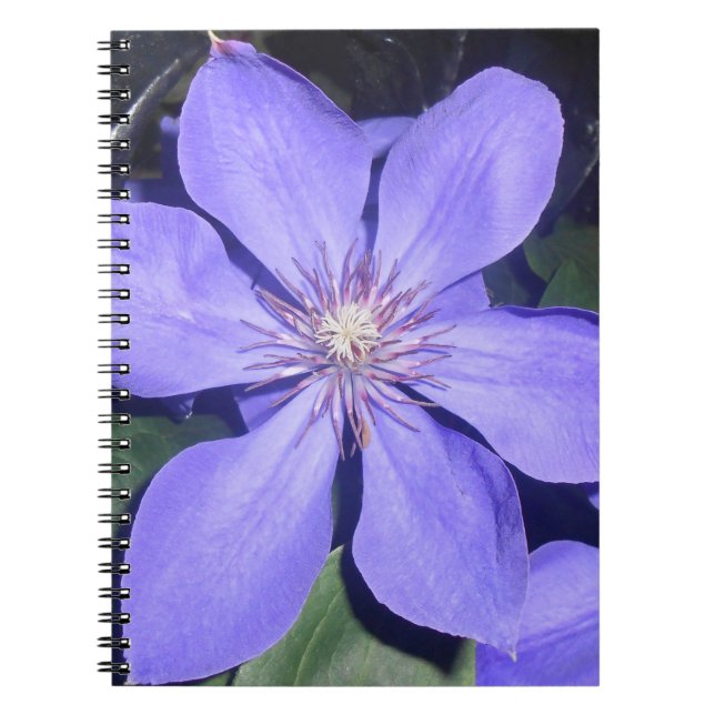 Carnet Césarine (Devant)