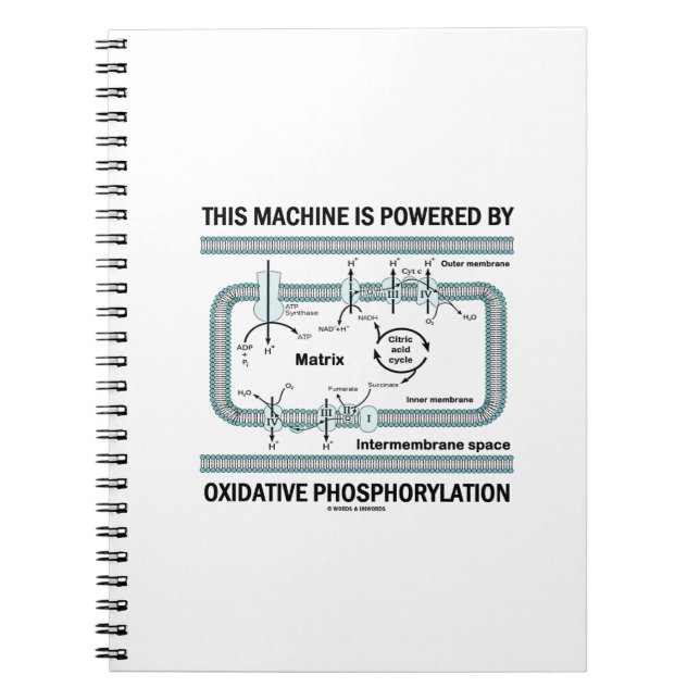 Carnet Cette Machine Alimentée Par La Phosphylation Oxida (Devant)
