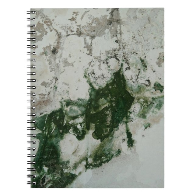 Carnet Chaina (Devant)