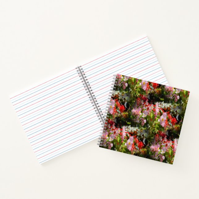 Carnet Champ de Begonias..... (Intérieur)