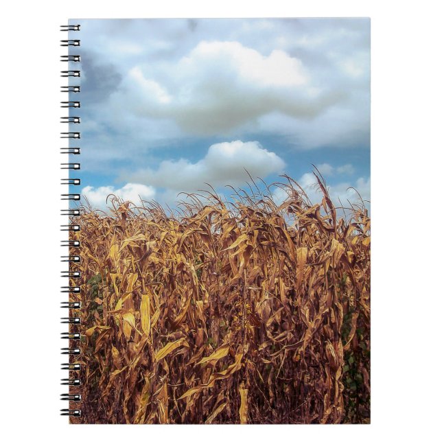 Carnet Champ de Maïs Rustique et Ciel Bleu Dramati (Devant)
