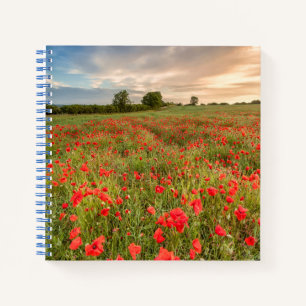 Carnet Champ de pavots