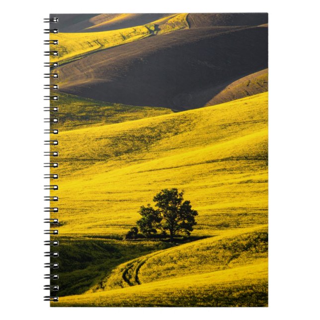 Carnet Champ de prairie jaune dans le vent (Devant)