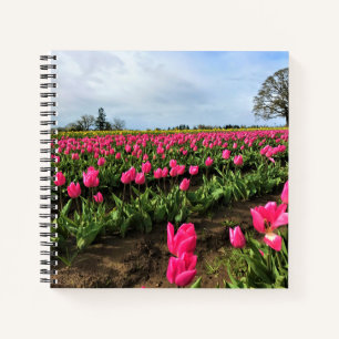 Carnet Champ de tulipe rose, Oregon