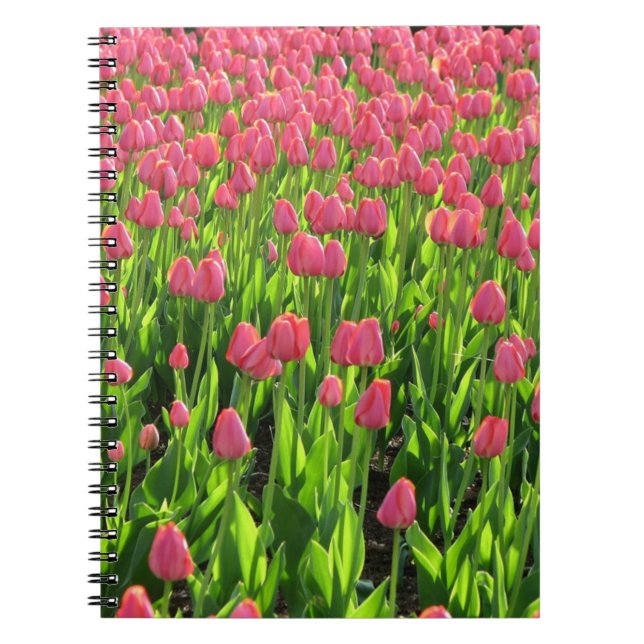 Carnet Champ de tulipes roses (Devant)