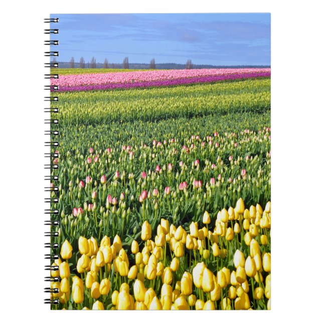 Carnet Champ des tulipes de printemps (Devant)