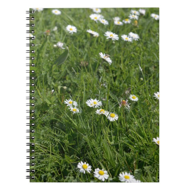 Carnet Champ d'herbe verte avec des fleurs blanches et ja (Devant)