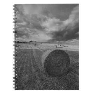 Carnet Champ d'orge de B&W