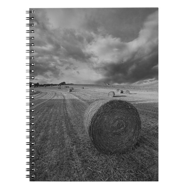Carnet Champ d'orge de B&W (Devant)