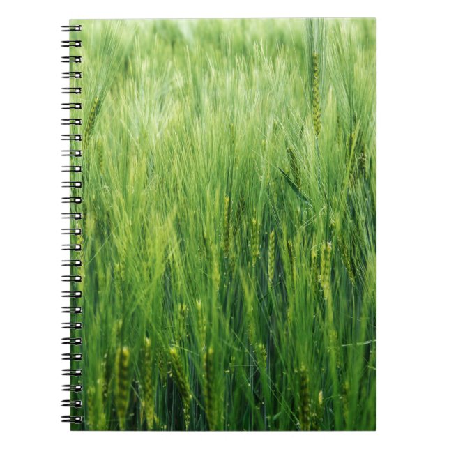 Carnet Champ d'orge verte, closeup de printemps. (Devant)