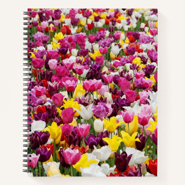 Carnet champ plein de tulipes (Devant)