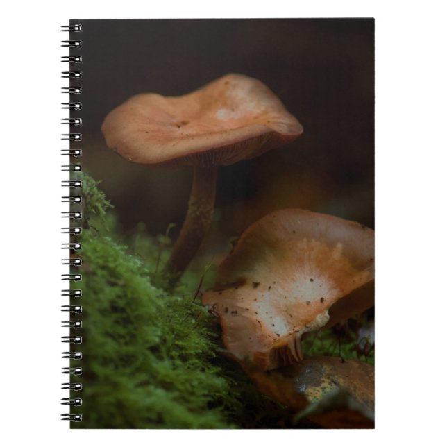 Carnet champignon (Devant)