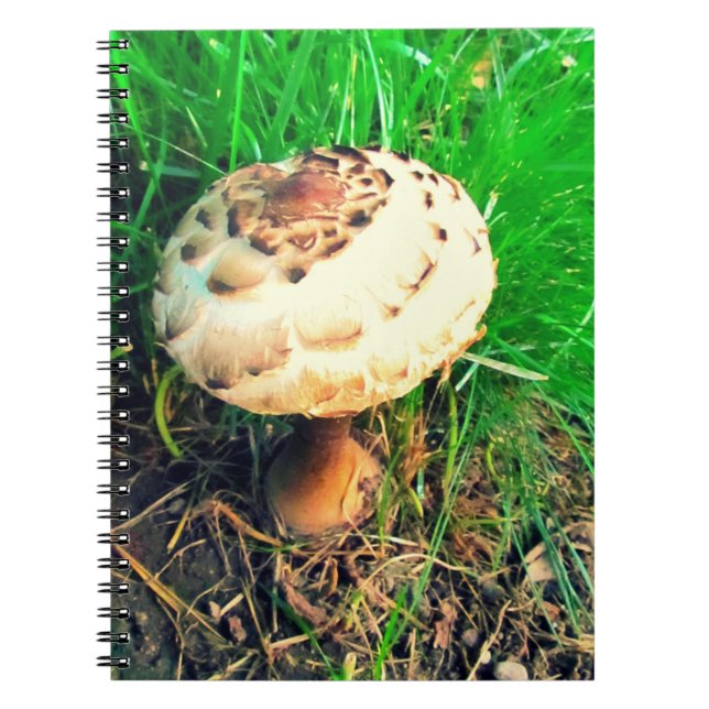 Carnet champignon (Devant)