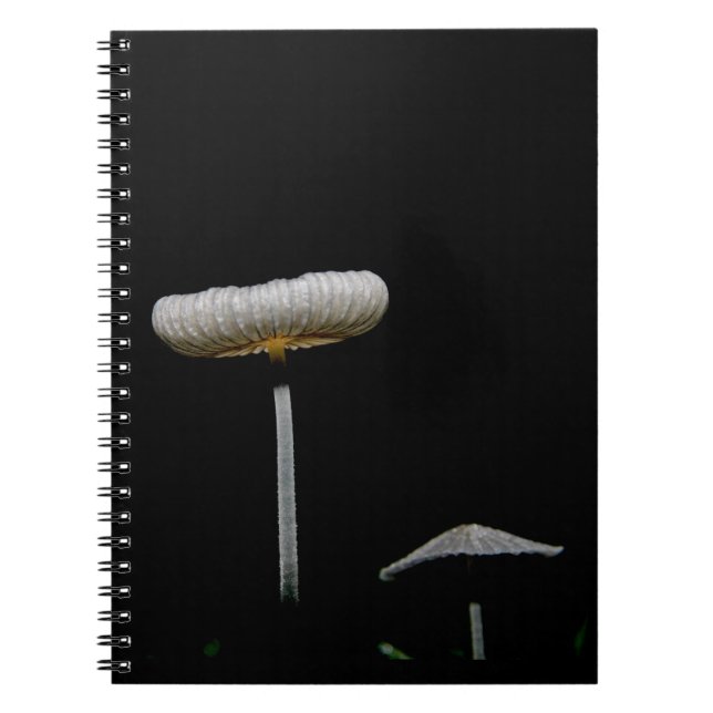 Carnet Champignons (Devant)