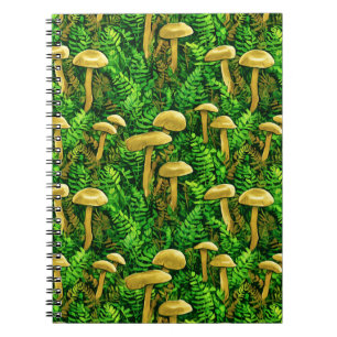 Carnet Champignons et fougères sur le sol forestier