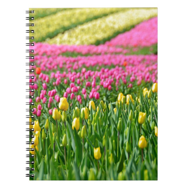 Carnet Champs de couleurs (Devant)