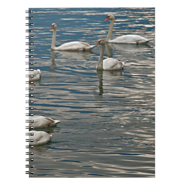Carnet Chant du cygne (Devant)