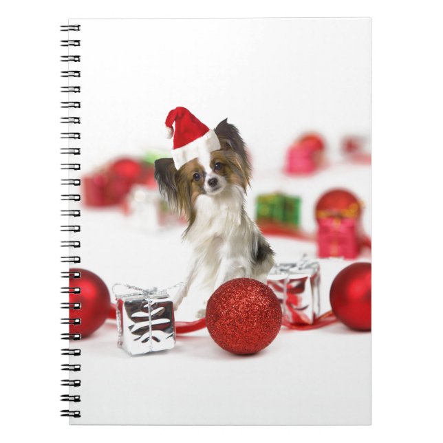 Carnet Chapeau de Santa de Noël de chien Papillon mignon (Devant)