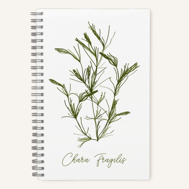 Carnet Chara Fragilis Inspiré de la mer (Recto)