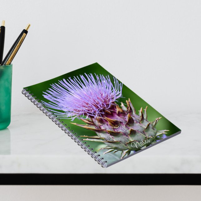Carnet Chardon Pourpre Cardon Floral (In Situ)