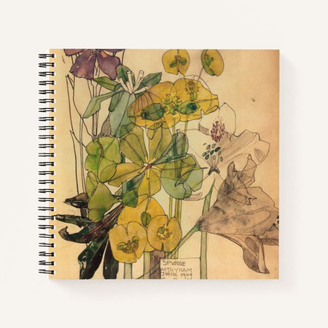 Carnet Charles Rennie Mackintosh - Spurge With Yham 1909 (Devant)