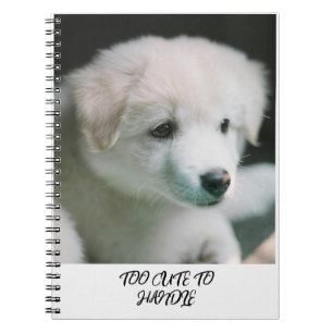 Carnet "Charme de chiot blanc tout doux"