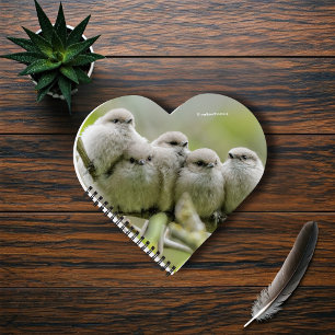 Carnet Charme de coeur Cute Bushtits Songbirds Photo de f